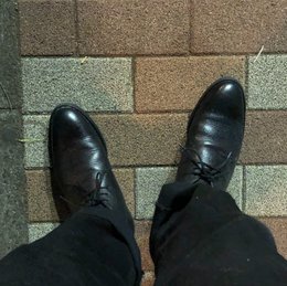 古紙出した