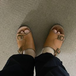 朝