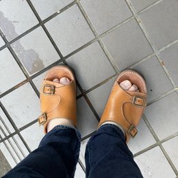 朝