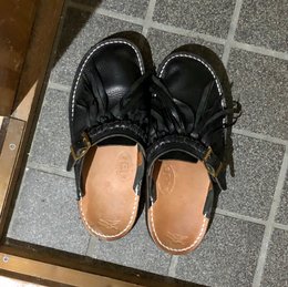 朝
