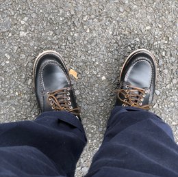 今日は涼しい