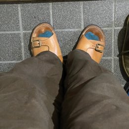 まだ来ない