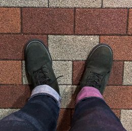 今日は最後かな