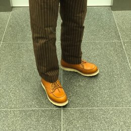 横張り出してるな