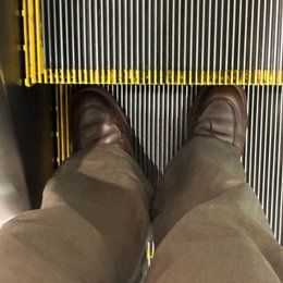 スマホのカメラ直った