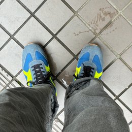 朝
