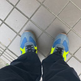 明日でLv10になりそう