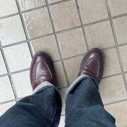 朝