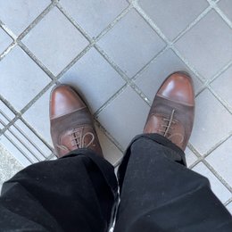 朝
