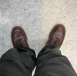 サラダ食べたい