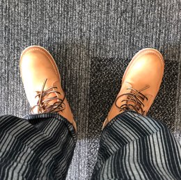 明日からまた雨なんだっけか