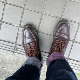 朝だよ