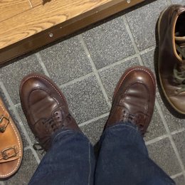 ダンボール届いた