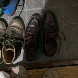 早く眼寝たい