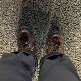 歩いた