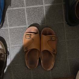 朝