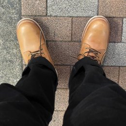 ジャケット届いた