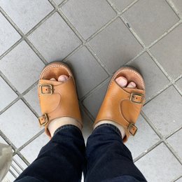 朝
