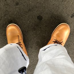 晴れてるので