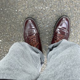 カキで食当たりにならないことを祈る