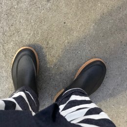 9月終わりそう