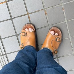 朝
