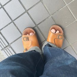 朝