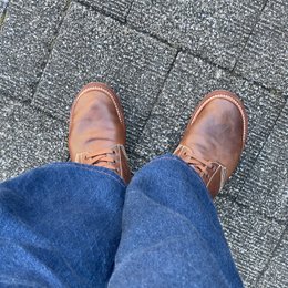 歩いた