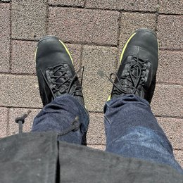 ピクミンやるか