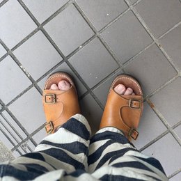 朝