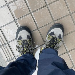 めっちゃ降るやん