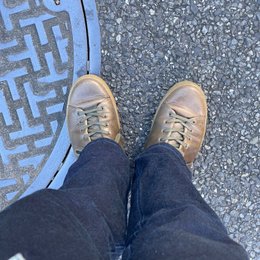 朝です