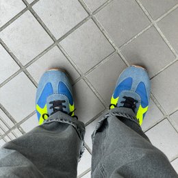 朝