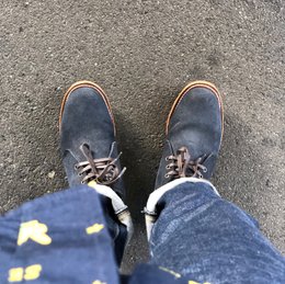 やはり買うか