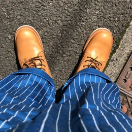 晴れたので