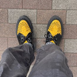 ペラック買ってきた