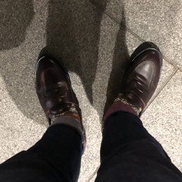 今日はあったかい