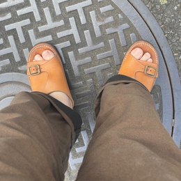 朝