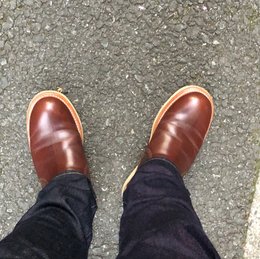 今日は涼しいくらい