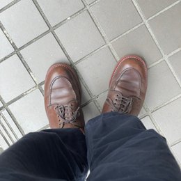 朝