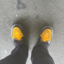 コンディションよくないらしい