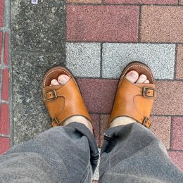 朝