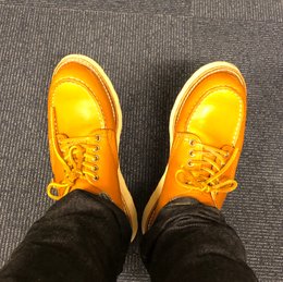早く来すぎた