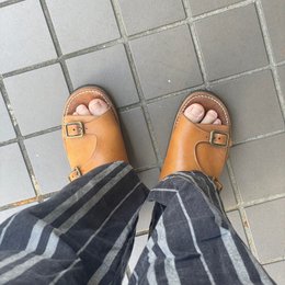 朝