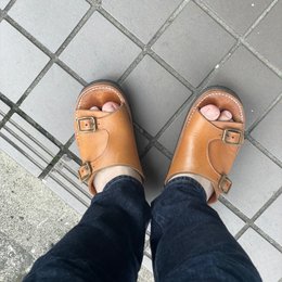 朝