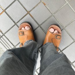 朝