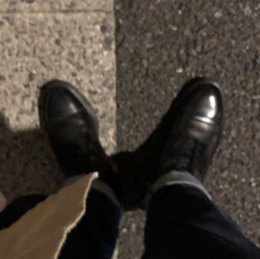 夜行性の夢はやっぱいいな