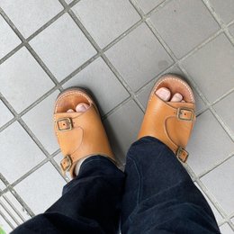 朝