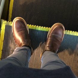 ぽってりしてんな