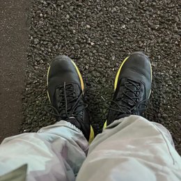 久しぶりに見た